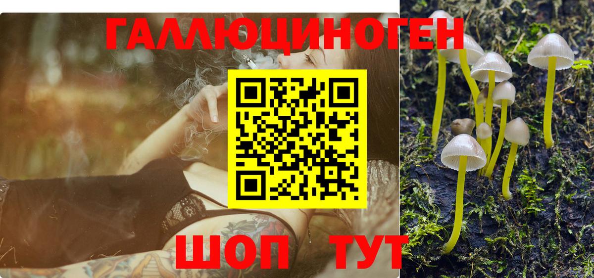 Галлюциногенные грибы мицелий  где найти наркотики  Богородск  Вход с VPN  Галлюциногенные грибы мицелий 